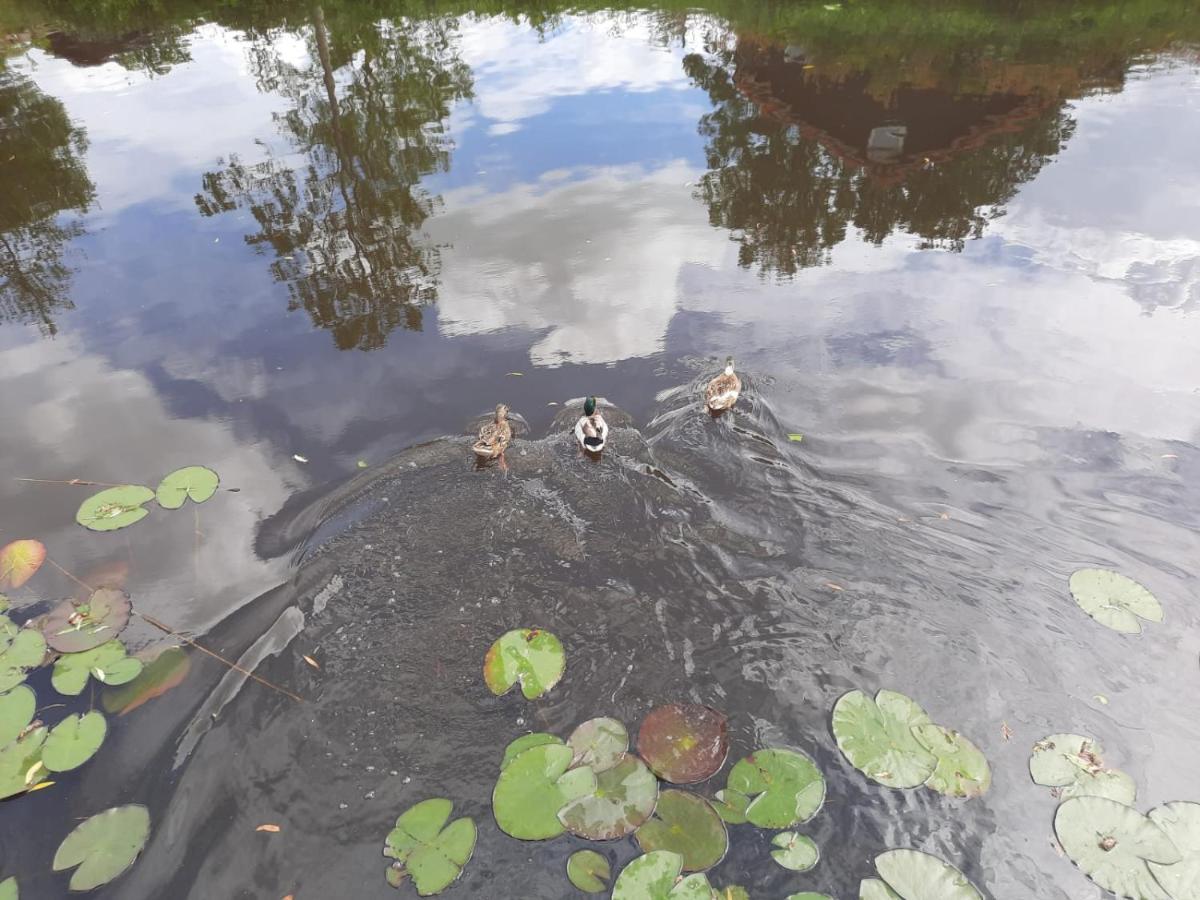 Waterhuis Friesland Oudwoude Esterno foto